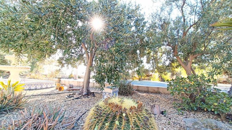 Foto cdd46bc6-b632-43ef-98c5-1bdf75a6ce23. Casa a Romana (la) Foto cdd46bc6-b632-43ef-98c5-1bdf75a6ce23. Casa a Romana (la)