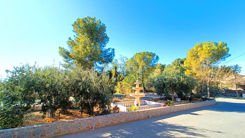 Foto e46689bb-bb02-4439-a03e-f1484f949cd9. Casa a Romana (la) Foto e46689bb-bb02-4439-a03e-f1484f949cd9. Casa a Romana (la)