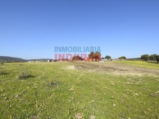 Masia a Mesas de Ibor. Finca ganadera con nave para el ganado situada a 600 m del munic Masia a Mesas de Ibor. Finca ganadera con nave para el ganado situada a 600 m del munic