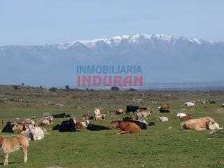 Casa  N/a. Finca rústica ganadera de 307 hectáreas en navalmoral de la mata Casa  N/a. Finca rústica ganadera de 307 hectáreas en navalmoral de la mata