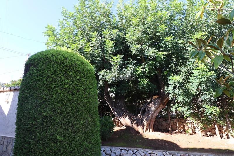 Foto 3972ef94-9739-4f1e-9f10-d7966be4f3a1. Casa 519 cucarres en Oltamar - Cucarres Calp Foto 3972ef94-9739-4f1e-9f10-d7966be4f3a1. Casa 519 cucarres en Oltamar - Cucarres Calp