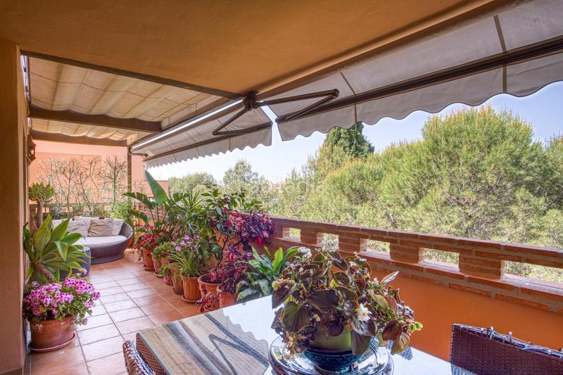 Foto 49ddf6e3-91ad-4d0f-afbe-25e346ed8d66. Apartament amb calefacció aparcament piscina a La Jara Sanlúcar de Barrameda Foto 49ddf6e3-91ad-4d0f-afbe-25e346ed8d66. Apartament amb calefacció aparcament piscina a La Jara Sanlúcar de Barrameda