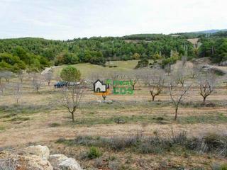 Finca rústica a Vilosell (El). La finca rústica en venta con 34.000 m2 de terreno, totalmente l Finca rústica a Vilosell (El). La finca rústica en venta con 34.000 m2 de terreno, totalmente l