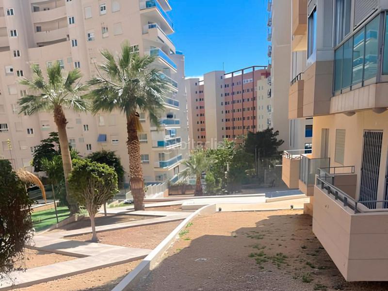 Foto 3320c708-f356-4322-a9c8-9d4b09436fa6. Piccolo appartamento con parcheggio piscina in Alitana-Casablanca Vila Joiosa (la) Foto 3320c708-f356-4322-a9c8-9d4b09436fa6. Piccolo appartamento con parcheggio piscina in Alitana-Casablanca Vila Joiosa (la)