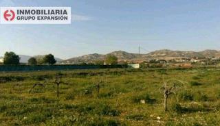 Finca rústica a Pedanías Oeste. Terreno en aspe partida la alcana Finca rústica a Pedanías Oeste. Terreno en aspe partida la alcana
