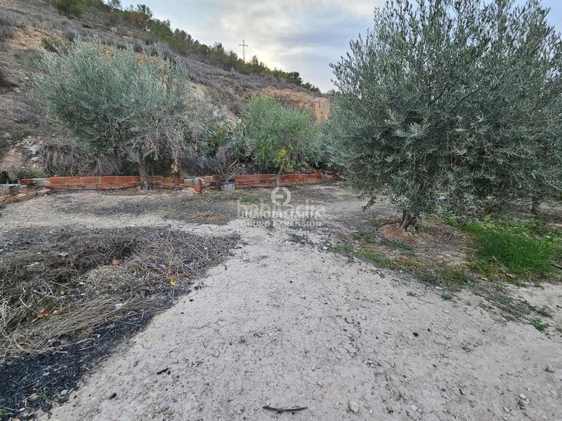 Foto 17578948-63b0-445e-8e61-2acae015743c. Chalet in El Castillo Aspe Foto 17578948-63b0-445e-8e61-2acae015743c. Chalet in El Castillo Aspe