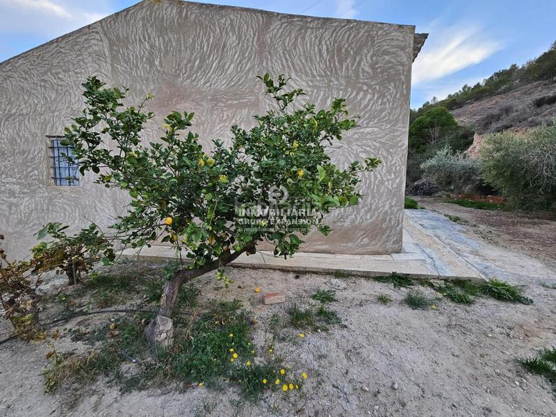 Foto 9e7fb42b-0635-402e-86df-e2fa8e7c1d42. Chalet in El Castillo Aspe Foto 9e7fb42b-0635-402e-86df-e2fa8e7c1d42. Chalet in El Castillo Aspe