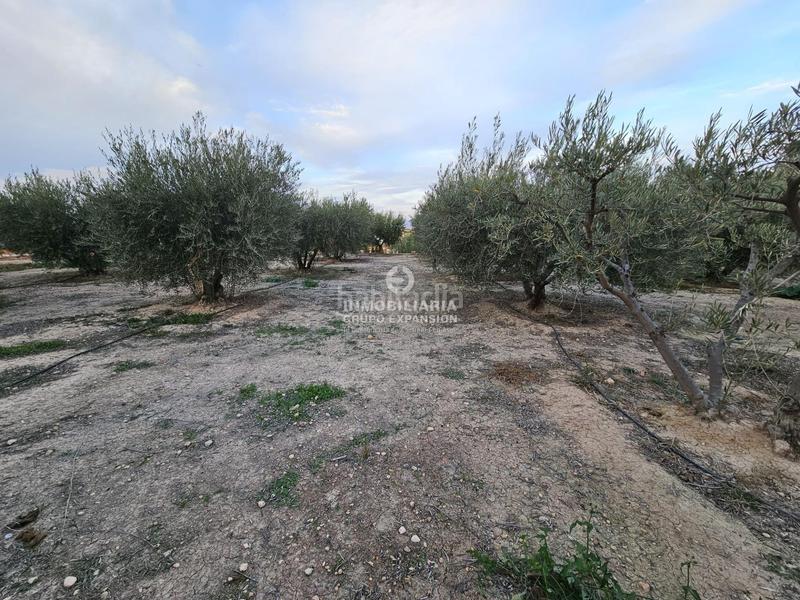 Foto f00e6334-0a14-4c17-8d13-9c94cdb32e4c. Chalet in El Castillo Aspe Foto f00e6334-0a14-4c17-8d13-9c94cdb32e4c. Chalet in El Castillo Aspe