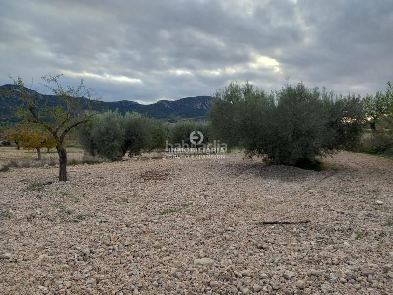 Foto 49e4e867-ca5d-4756-924d-ca028471a4bb. Chalet in Romana (la) Foto 49e4e867-ca5d-4756-924d-ca028471a4bb. Chalet in Romana (la)