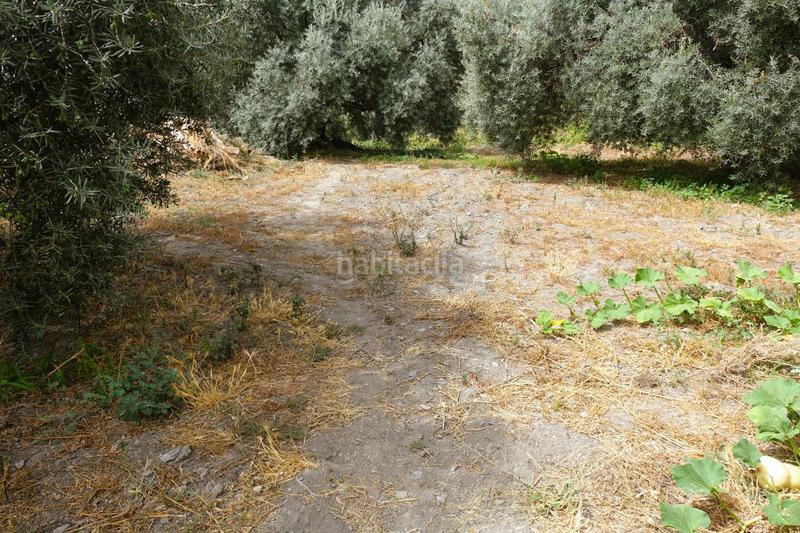 Foto b419a732-45d2-47e8-b67b-a5c25b040677. Masia a Órgiva Foto b419a732-45d2-47e8-b67b-a5c25b040677. Masia a Órgiva