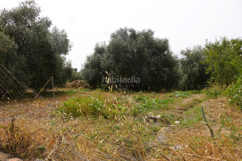 Foto f58e8cf3-021a-40c1-abee-7ffb0868f682. Masia a Órgiva Foto f58e8cf3-021a-40c1-abee-7ffb0868f682. Masia a Órgiva