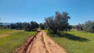 Landgut N/a. Sorihuela de guadalimar (jaén). paraje "pilara". Landgut N/a. Sorihuela de guadalimar (jaén). paraje "pilara".
