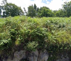 Residential Plot in Gondomar Residential Plot in Gondomar