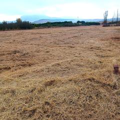 Rural plot in Alberite Rural plot in Alberite