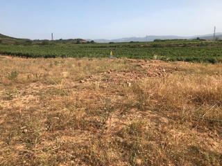 Finca rústica a Navarrete. Finca navarrete Finca rústica a Navarrete. Finca navarrete