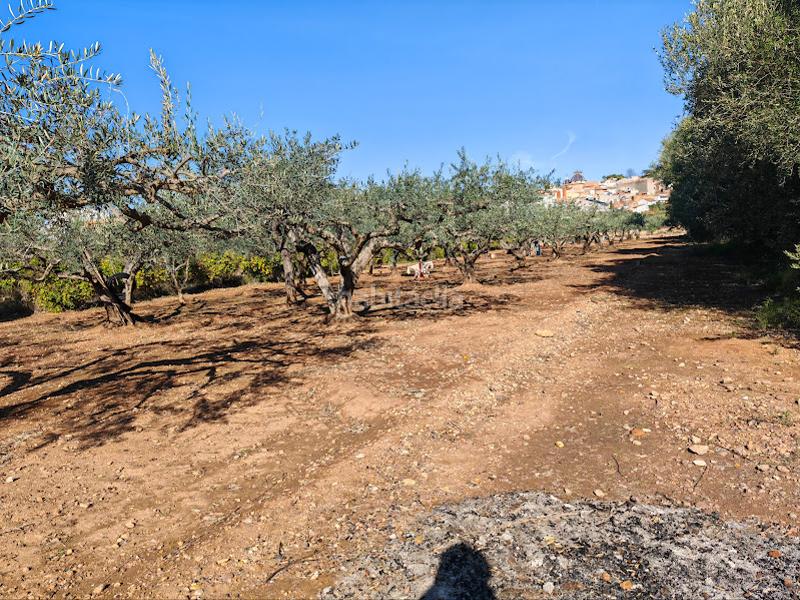 Foto b961798d-c877-42e9-9eb9-87d6cbae8412. Propriété dans Onda Foto b961798d-c877-42e9-9eb9-87d6cbae8412. Propriété dans Onda