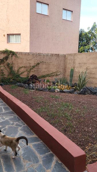Foto 5ef2eaa8-591d-4f2e-b63a-5a6b409fe894. Casa venta vivienda unifamiliar en guimar en Centro Güímar Foto 5ef2eaa8-591d-4f2e-b63a-5a6b409fe894. Casa venta vivienda unifamiliar en guimar en Centro Güímar