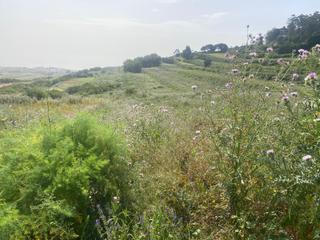 Rural plot Camino salto de los riveros Rural plot Camino salto de los riveros