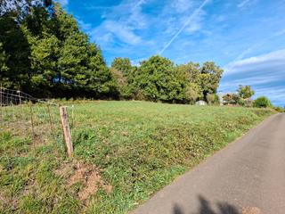 Finca rústica  Barrio la peral 120. Finca edificable en la peral, preciosas vistas, 10 minutos de av Finca rústica  Barrio la peral 120. Finca edificable en la peral, preciosas vistas, 10 minutos de av