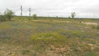 Rural plot in Las Tres Piedras - Costa Ballena Rural plot in Las Tres Piedras - Costa Ballena