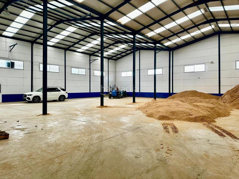 Foto a46f36c6-c507-4f6f-a561-0a69ffc40a8d. Fabrikhalle in Fuente Obejuna Foto a46f36c6-c507-4f6f-a561-0a69ffc40a8d. Fabrikhalle in Fuente Obejuna