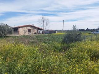 Finca rústica en Carpio (El). Terreno rural en carpio Finca rústica en Carpio (El). Terreno rural en carpio