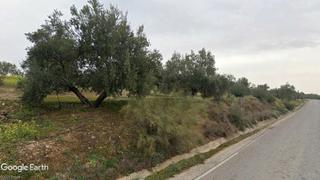 Finca rústica a Lupión. Olivar de regadío con alta productividad Finca rústica a Lupión. Olivar de regadío con alta productividad
