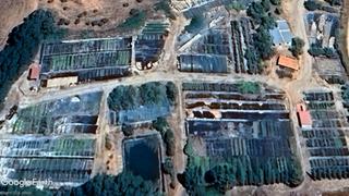 Finca rústica a Priego. Vivero sin actividad, invernaderos, almacenes, balsa de riego. Finca rústica a Priego. Vivero sin actividad, invernaderos, almacenes, balsa de riego.