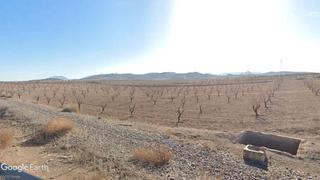 Finca rústica a Guadix. Terreno de almendros, llano, muy bien comunicado y junto al pueb Finca rústica a Guadix. Terreno de almendros, llano, muy bien comunicado y junto al pueb