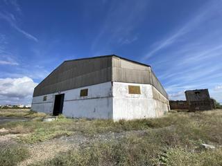 Lloguer Nau industrial a Tocina. Nave industrial 1830 metros en alquiler Lloguer Nau industrial a Tocina. Nave industrial 1830 metros en alquiler