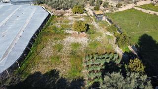 Fondo rustico in Al-3303 40. Parcela de regadío con cortijo y fácil acceso en dalías Fondo rustico in Al-3303 40. Parcela de regadío con cortijo y fácil acceso en dalías