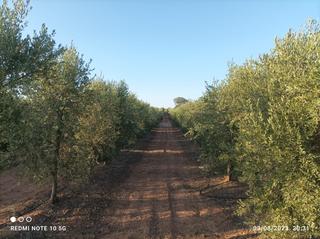 Propriété à Usagre Propriété à Usagre