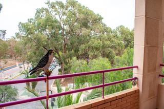 Apartament a Pueblo. Ubicado en el centro de guardamar del segura,nbspeste apartament Apartament a Pueblo. Ubicado en el centro de guardamar del segura,nbspeste apartament