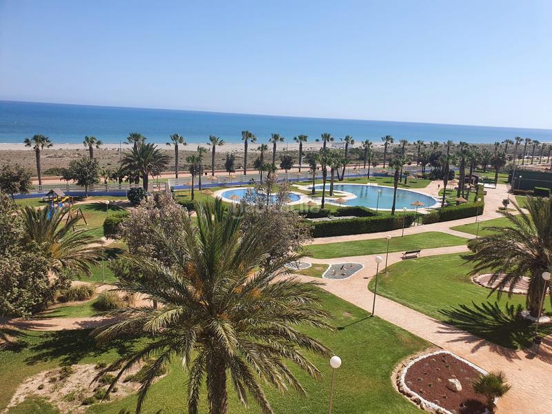 Foto 6f0ceb8f-e2ca-4600-b2a0-6ae0c4791e35. Affitto appartamento in avenida mar azul 101 in Almerimar Ejido (El) Foto 6f0ceb8f-e2ca-4600-b2a0-6ae0c4791e35. Affitto appartamento in avenida mar azul 101 in Almerimar Ejido (El)