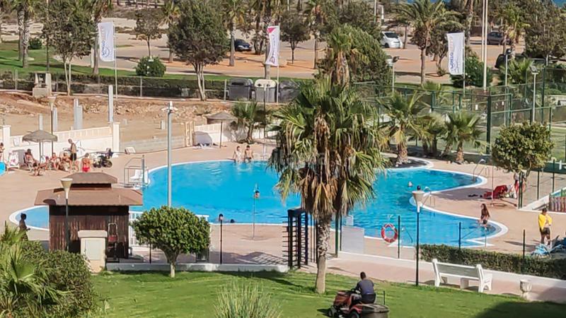 Foto d596af88-542b-4d42-92bf-0d883224bb2d. Miete etagenwohnung mit heizung parking pool in Almerimar Ejido (El) Foto d596af88-542b-4d42-92bf-0d883224bb2d. Miete etagenwohnung mit heizung parking pool in Almerimar Ejido (El)