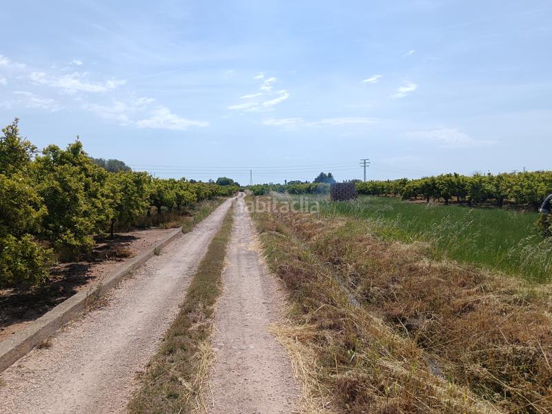 Foto 80924117-98da-457b-b76f-ad2ba6bc711c. Finca rústica tierra campa en Camino de Onda-Salesianos Burriana Foto 80924117-98da-457b-b76f-ad2ba6bc711c. Finca rústica tierra campa en Camino de Onda-Salesianos Burriana