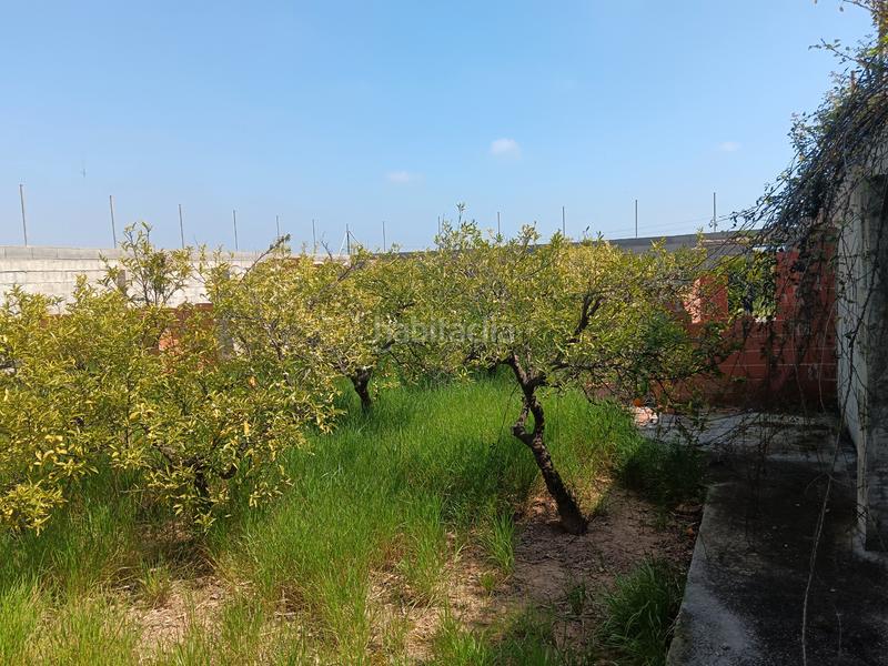 Foto 0ebd48b6-68a9-47ce-aea7-19d4dca3c56a. Finca rústica naranjal con corral en Camino de Onda-Salesianos Burriana Foto 0ebd48b6-68a9-47ce-aea7-19d4dca3c56a. Finca rústica naranjal con corral en Camino de Onda-Salesianos Burriana