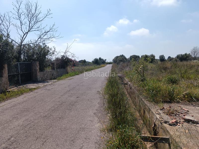 Foto 38b0b1be-74f0-4441-b093-921c94ae2ed2. Finca rústica naranjal con corral en Camino de Onda-Salesianos Burriana Foto 38b0b1be-74f0-4441-b093-921c94ae2ed2. Finca rústica naranjal con corral en Camino de Onda-Salesianos Burriana