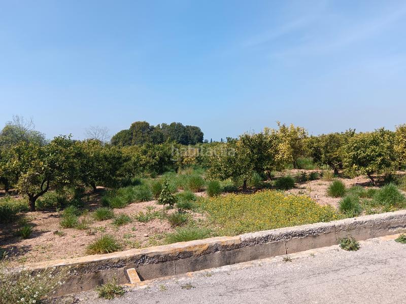 Foto 6cda915a-3367-4a82-85b9-1fa0f0418c32. Finca rústica naranjal con corral en Camino de Onda-Salesianos Burriana Foto 6cda915a-3367-4a82-85b9-1fa0f0418c32. Finca rústica naranjal con corral en Camino de Onda-Salesianos Burriana