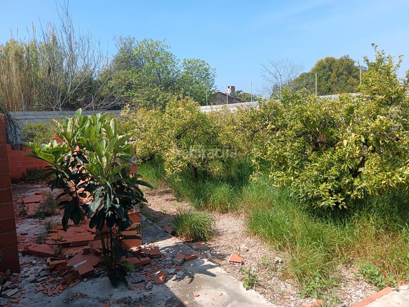 Foto ab99dab1-32fc-4b0e-9add-bed16c26d3b0. Finca rústica naranjal con corral en Camino de Onda-Salesianos Burriana Foto ab99dab1-32fc-4b0e-9add-bed16c26d3b0. Finca rústica naranjal con corral en Camino de Onda-Salesianos Burriana