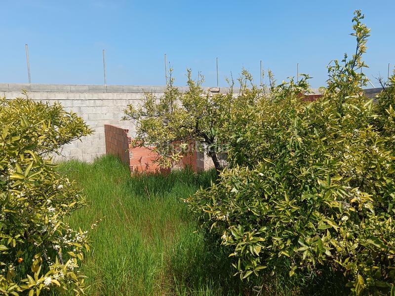 Foto f00a1784-5acf-4bcd-b566-260540212fea. Finca rústica naranjal con corral en Camino de Onda-Salesianos Burriana Foto f00a1784-5acf-4bcd-b566-260540212fea. Finca rústica naranjal con corral en Camino de Onda-Salesianos Burriana