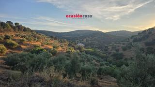 Masia a Villanueva del Rey. Finca rústica de 27 ha entre espiel y vva del rey Masia a Villanueva del Rey. Finca rústica de 27 ha entre espiel y vva del rey