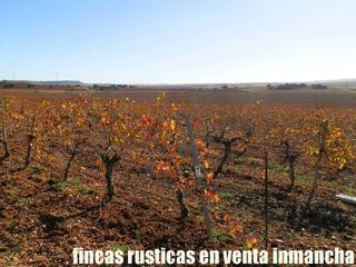 Landgut in Montalbo. Finca en venta 98 has. viña almendros labor riego en montalbo (c Landgut in Montalbo. Finca en venta 98 has. viña almendros labor riego en montalbo (c