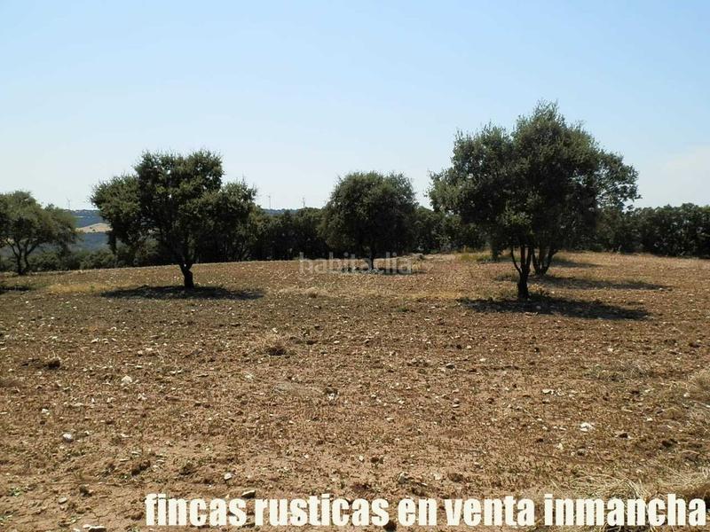 Foto 01028f1b-a932-43d6-bdce-e548860c6ef0. Finca rústica finca en venta 118 has. recreo a 130 km. de madrid en guadalajara en Alcocer Foto 01028f1b-a932-43d6-bdce-e548860c6ef0. Finca rústica finca en venta 118 has. recreo a 130 km. de madrid en guadalajara en Alcocer