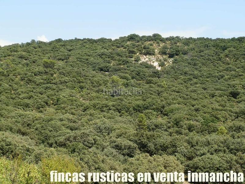Foto 345fbad9-90f0-467f-aaf0-9e77db25c4b4. Finca rústica finca en venta 118 has. recreo a 130 km. de madrid en guadalajara en Alcocer Foto 345fbad9-90f0-467f-aaf0-9e77db25c4b4. Finca rústica finca en venta 118 has. recreo a 130 km. de madrid en guadalajara en Alcocer
