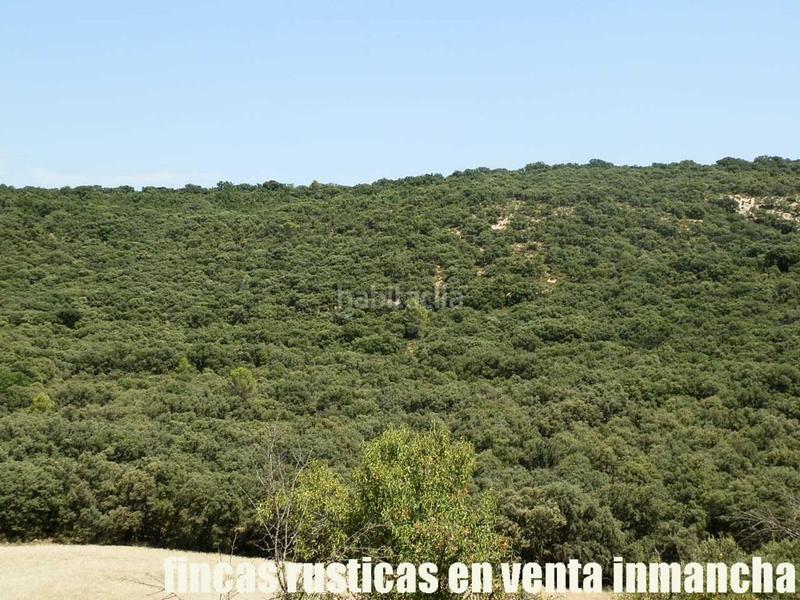 Foto 34e82bea-72d0-4a7e-b7b5-cda782917f20. Finca rústica finca en venta 118 has. recreo a 130 km. de madrid en guadalajara en Alcocer Foto 34e82bea-72d0-4a7e-b7b5-cda782917f20. Finca rústica finca en venta 118 has. recreo a 130 km. de madrid en guadalajara en Alcocer