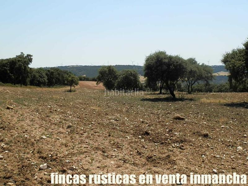 Foto 513aa66d-2c9a-4026-a6df-997385d7ac1e. Finca rústica finca en venta 118 has. recreo a 130 km. de madrid en guadalajara en Alcocer Foto 513aa66d-2c9a-4026-a6df-997385d7ac1e. Finca rústica finca en venta 118 has. recreo a 130 km. de madrid en guadalajara en Alcocer