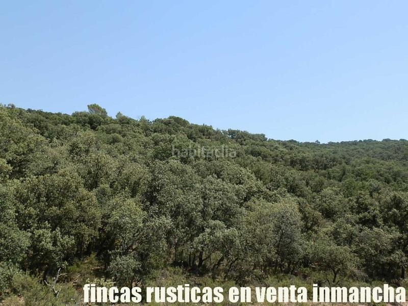 Foto 590d2174-53a8-434d-830b-f2403ebdb740. Finca rústica finca en venta 118 has. recreo a 130 km. de madrid en guadalajara en Alcocer Foto 590d2174-53a8-434d-830b-f2403ebdb740. Finca rústica finca en venta 118 has. recreo a 130 km. de madrid en guadalajara en Alcocer