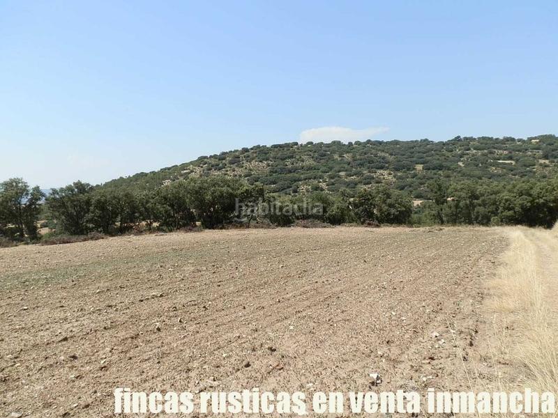 Foto 597cfba1-6416-41b8-a0f7-9f6335f54bdc. Finca rústica finca en venta 118 has. recreo a 130 km. de madrid en guadalajara en Alcocer Foto 597cfba1-6416-41b8-a0f7-9f6335f54bdc. Finca rústica finca en venta 118 has. recreo a 130 km. de madrid en guadalajara en Alcocer