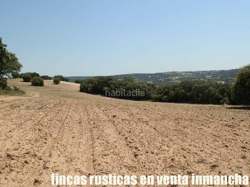 Foto 80810764-87f6-47a4-b987-a0cee4771c8f. Finca rústica finca en venta 118 has. recreo a 130 km. de madrid en guadalajara en Alcocer Foto 80810764-87f6-47a4-b987-a0cee4771c8f. Finca rústica finca en venta 118 has. recreo a 130 km. de madrid en guadalajara en Alcocer